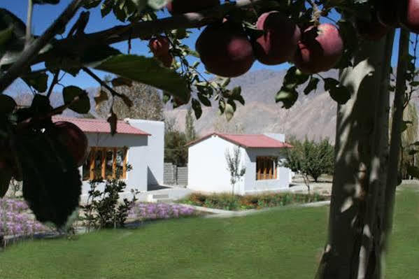 Himalayan Eco Resort Hundar Εξωτερικό φωτογραφία