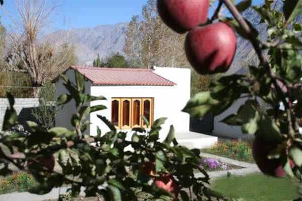 Himalayan Eco Resort Hundar Εξωτερικό φωτογραφία